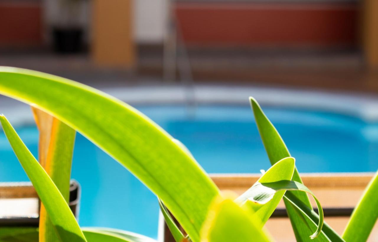Del Mar Inn Playas ティファナ エクステリア 写真